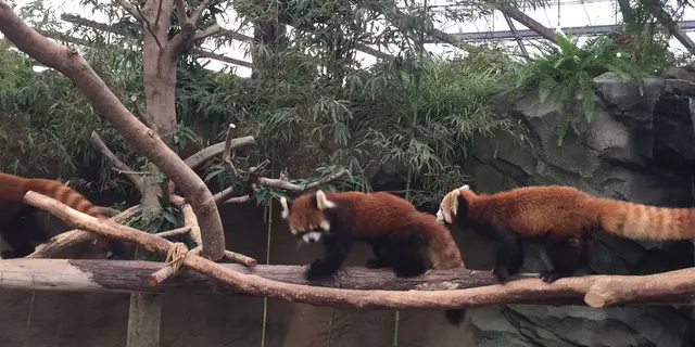 神戸に行ったらここ！