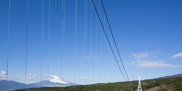 三島～西伊豆～修善寺　大人の癒しの旅
