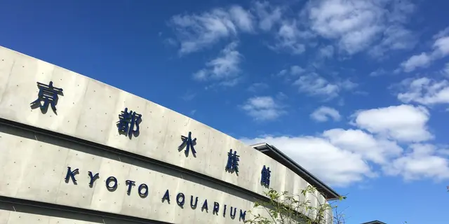 【京都駅近く】梅小路公園周辺デートスポット♡♡