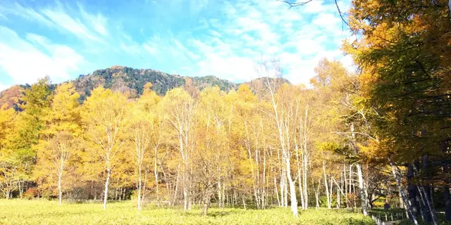 【紅葉満喫🌳🍂】ハイキングで楽しむ日帰り日光ぶらり旅♡