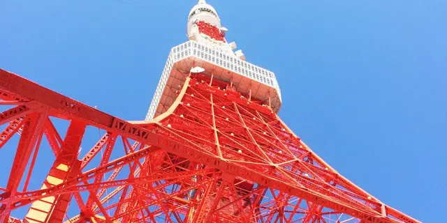 東京タワーがシンボルの港区へおでかけしよう🗼🍴🐬