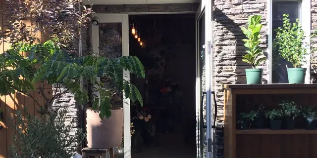 中目黒 お花屋さん特集💐