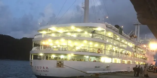 最高の夜景を船上から 大島１泊３日クルーズ旅