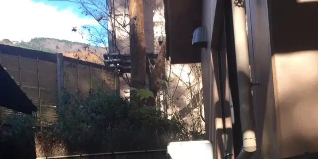 冬の箱根〜逗子