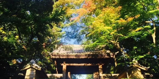 *鎌倉*デート