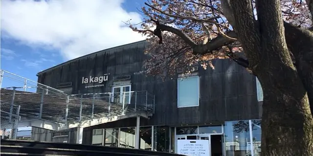 人混み苦手さんへ🌸のんびり桜デート神楽坂🌸
