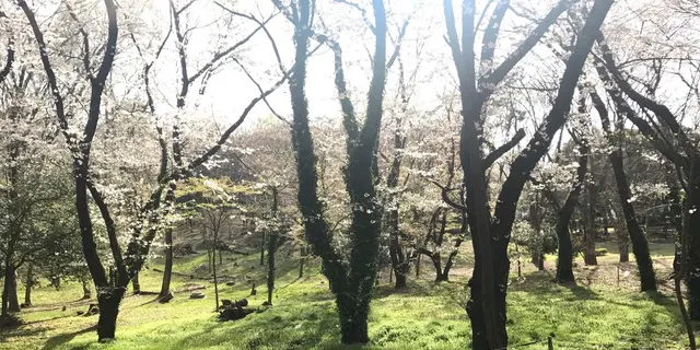 代々木さんぽ