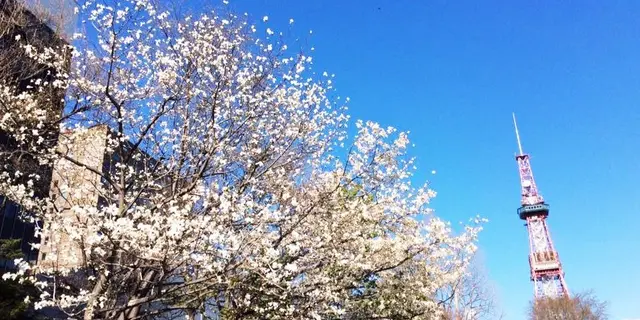 大通公園から、資料館巡り。
