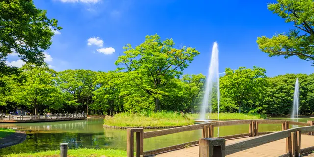 代々木公園から新宿ランチまで