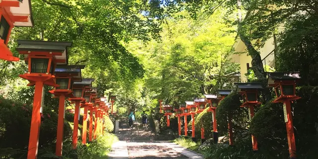 紫陽花を楽しむ！6月京都のたび