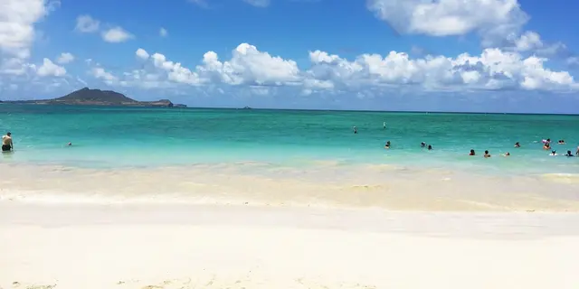 ハワイの人気スポットに行こう😎