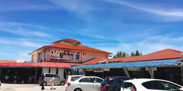 初めての沖縄観光✈️2泊3日で本島を満喫🏖 - 美ら海水族館とその周辺を満喫！編