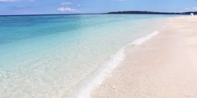 ハズレなし！沖縄の夏をFreeに楽しむ最強プラン🏖