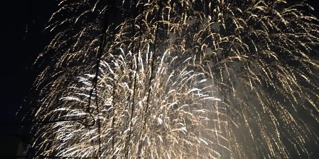 新潟で夏を満喫～海と花火とグルメを楽しむ