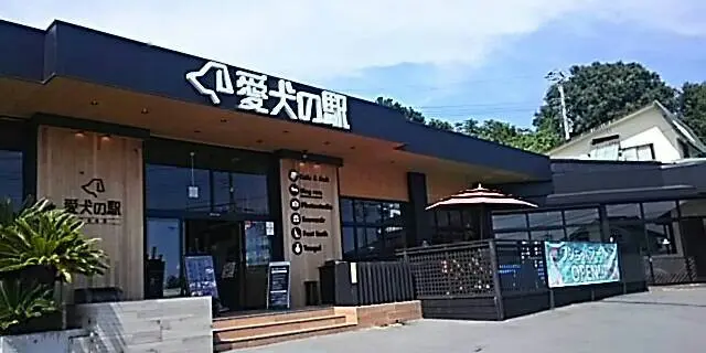 愛犬と行く伊豆ドライブ♪