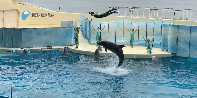 車でフラフラっ〜と。