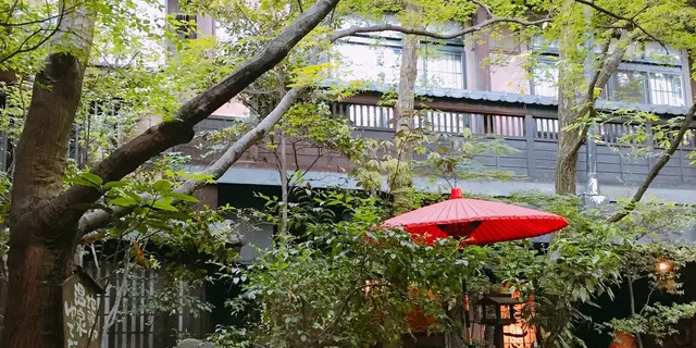 阿蘇の推し温泉5選♨️絶景カフェを添えて