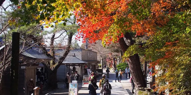 宮城〜山形を電車で一周。山寺、鳴子温泉で紅葉狩り🍁