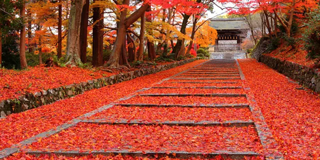 京都からぷらっとサイクリング旅