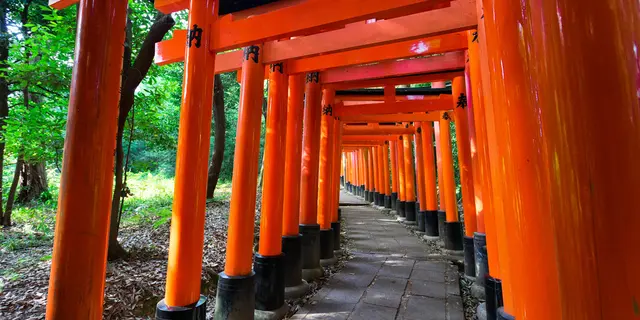 【真夜中のプリンス ロケ地へ行ってみよう】根津・谷中・千駄木エリア