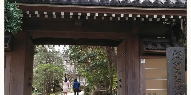 おひとり様の鎌倉梅三昧