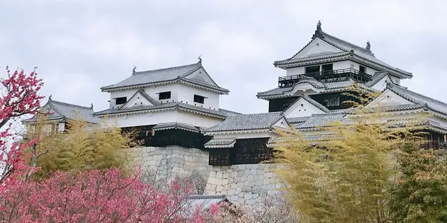 ［1泊2日］愛媛  松山堪能プラン