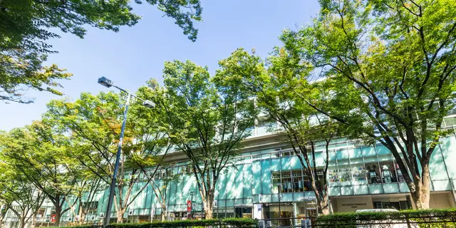 表参道の定番を遊びつくす