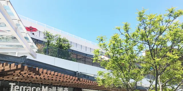 雨でも楽しめる湘南日帰り旅