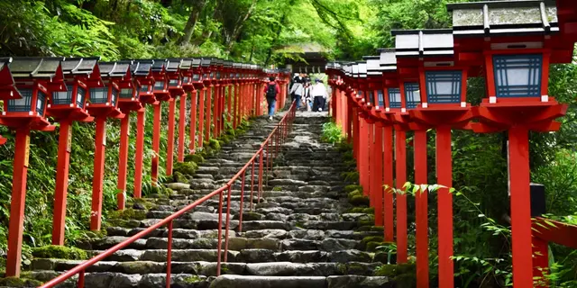 紫陽花と青もみじ in 京都