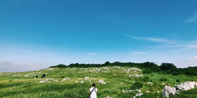 しまなみ海道から渡る高知ざっくり一周女子旅👭
