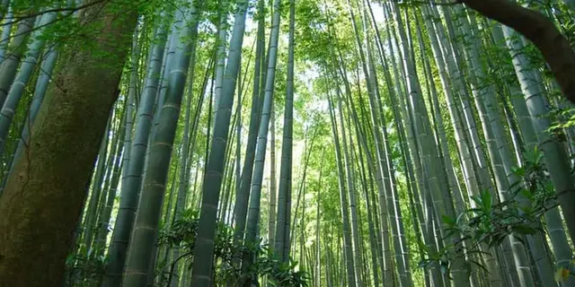 大人遠足部 VOL.2 鎌倉の旅