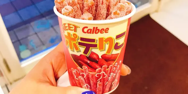 【沖縄🇯🇵那覇】ダイビング5日間