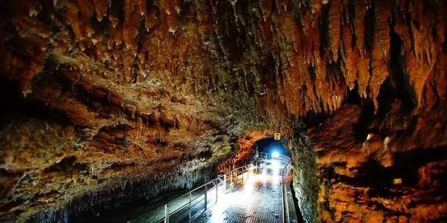 沖縄旅