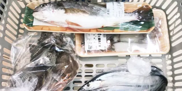 近場の無人島🌴SARUSHIMA