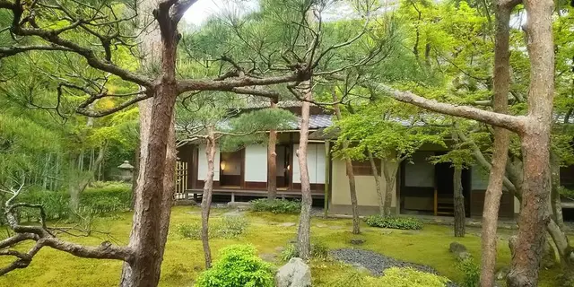 鎌倉大人の遠足