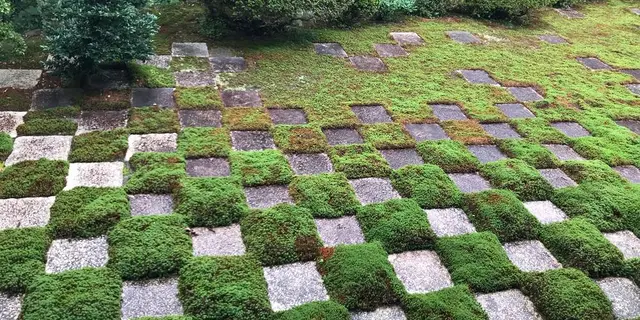《京都だからできる！》お洒落なお店を巡る秋の日帰り旅