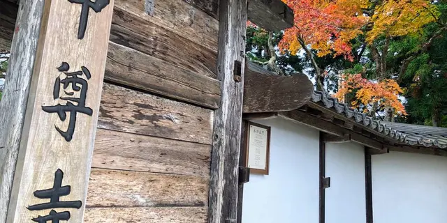 【 岩手 】季節を感じる紅葉とまったり神社とお寺巡り🍁
