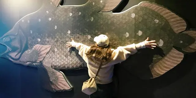 沼津漁港 へ 深海水族館