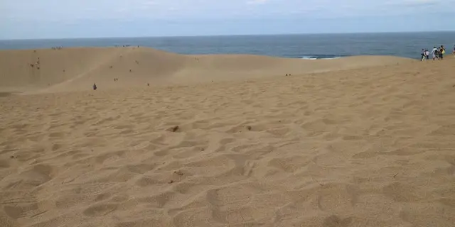 圧巻の鳥取砂丘＆出雲大社