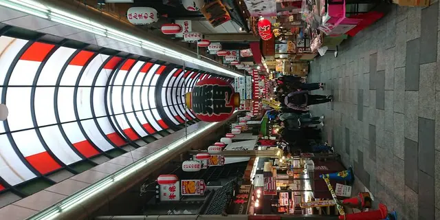 大阪市内 半日御朱印巡り+観光