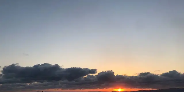 日帰り！フェリー別府大坂