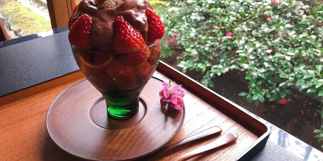 【梅が見頃！】冬の京都へ