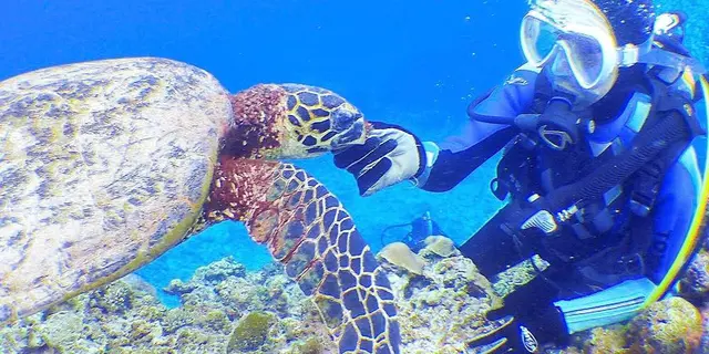 心とお腹を満たす旅🏖沖縄那覇観光にダイビング✨ひとりでもパーフェクトに楽しい3泊4日女子旅とは🎶