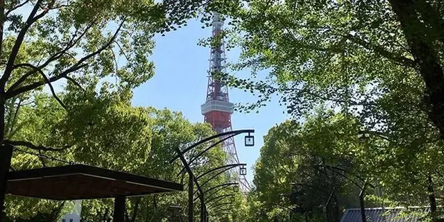 晴れたら芝公園でピクニック