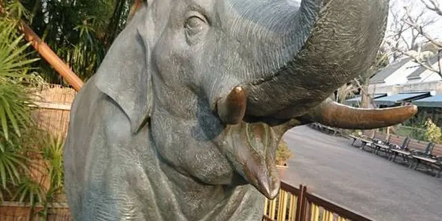 2023年秋　初　上野動物園