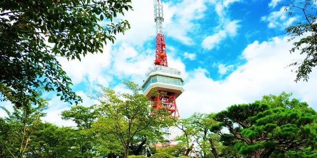 大谷資料館と宇都宮市街と餃子を、日帰りで満喫するプラン