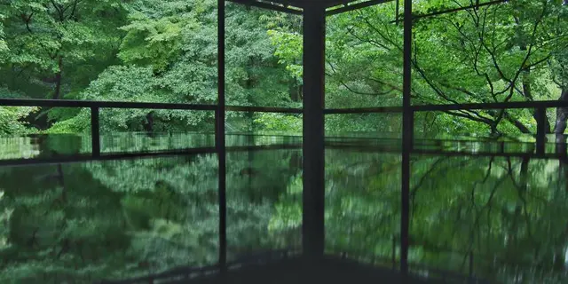 秋の京都🍁洛北ぶらり旅