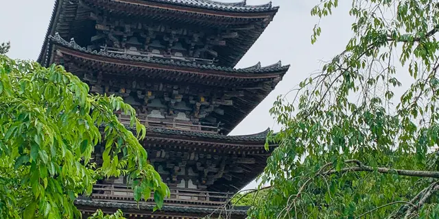 神仏巡り❁京都市東山区・伏見区(随時更新)