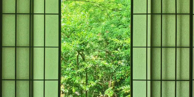🌿 叡電で巡る 新緑の京都ひとり旅 🌿
