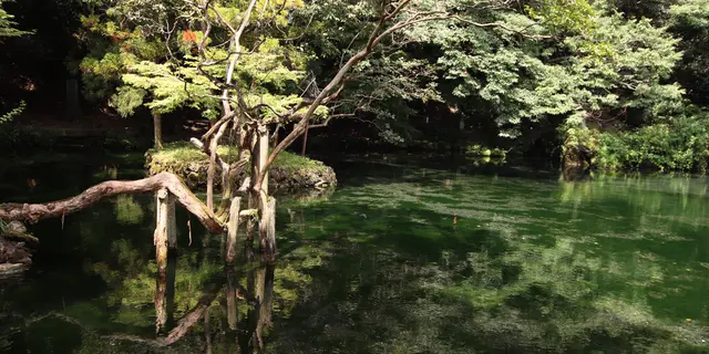 足利のんびり旅